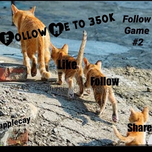 500K Woohoo…Thank You….FG #2 - Picture 9 of 12